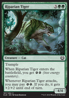 Riparian Tiger